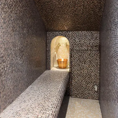 L'andalouse - Privatif - Jacuzzi Hammam Sauna * Mittelhausbergen